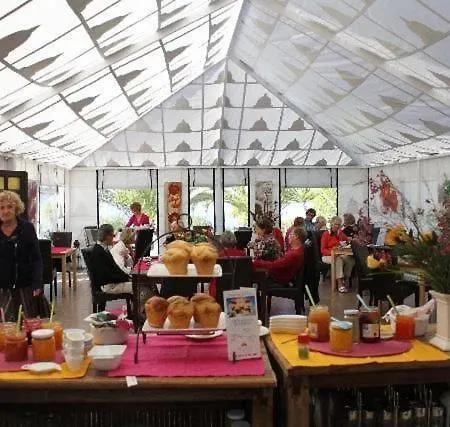 Moderne Colibri Mit Terrasse 아파트 기아데이소라